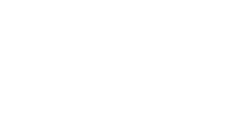 Партнёр 2
